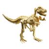 Set paleontologie tyannosaurus rex