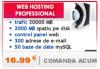 Pachet web hosting professional
