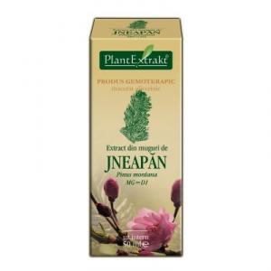 Extract din Muguri de Jneapan *50 ml