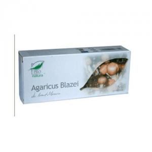 Agaricus Blazei *30cps