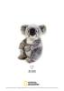 Jucarie plus venturelli - national geographic koala mediu 26 cm -