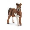 Figurina Animal Manz ponei Shetland