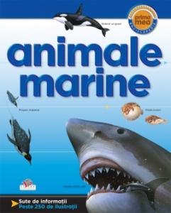 Animale Marine